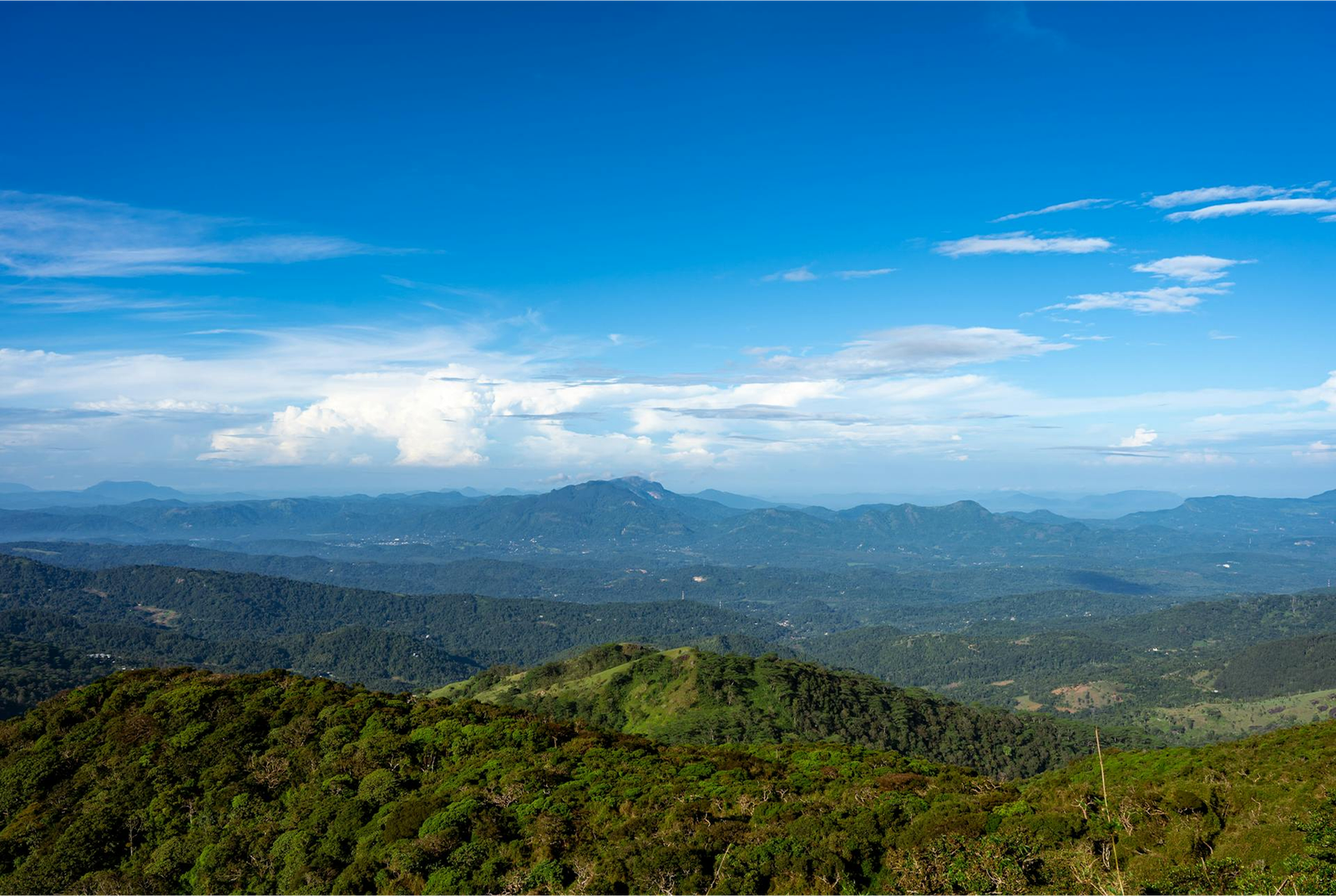 Ceylon Adventure Tours