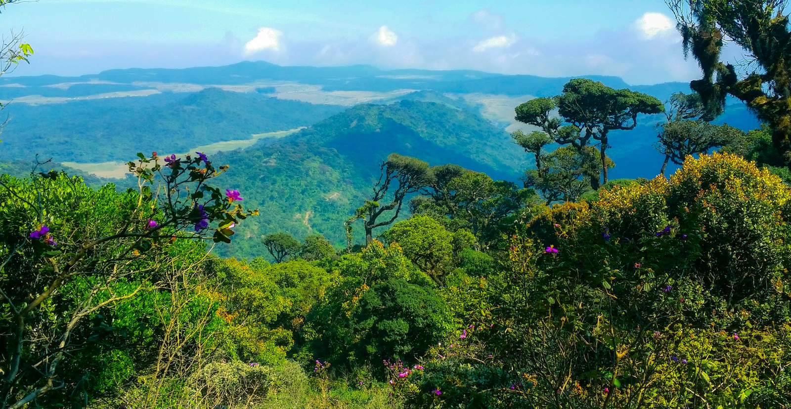 Ceylon Adventure Tours