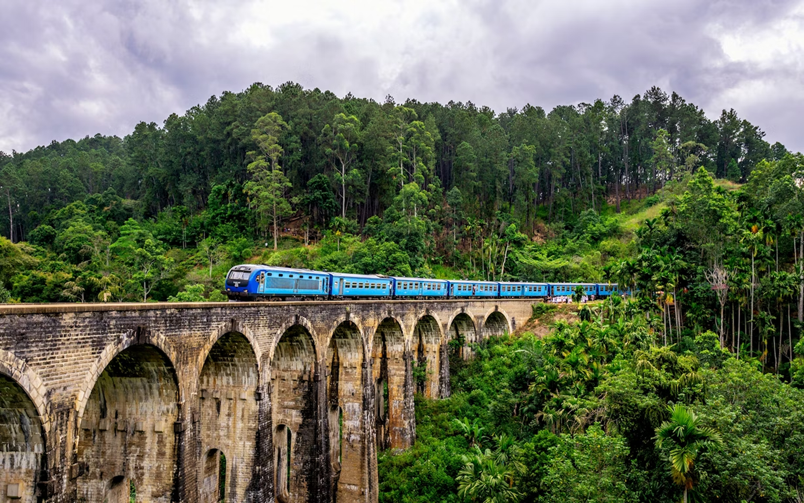 Ceylon Adventure Tours