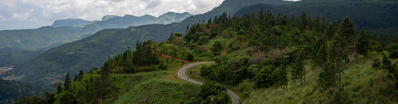 Kuruwita