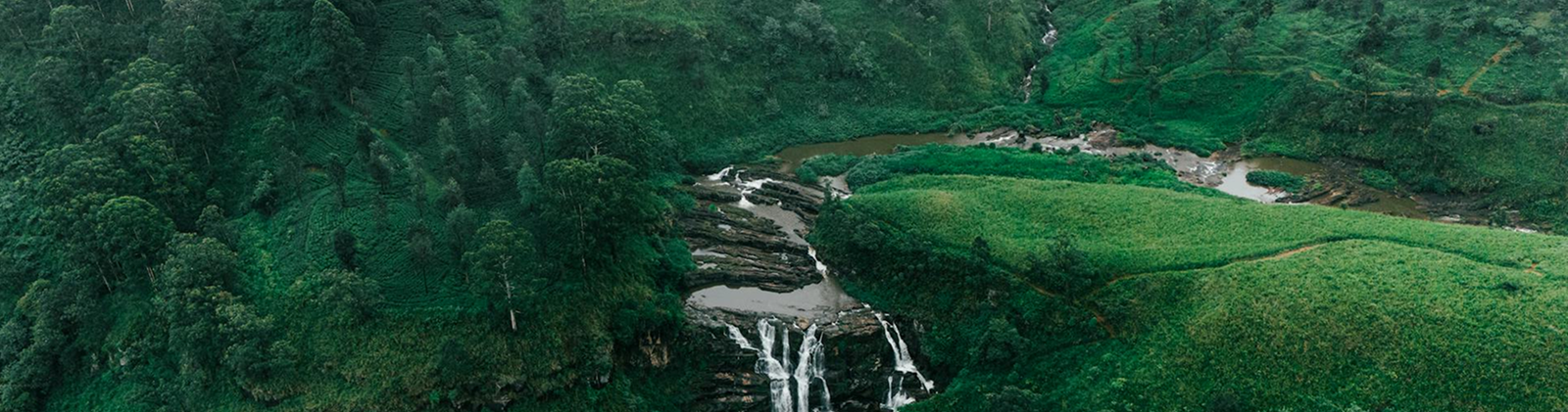 NuwaraEliya