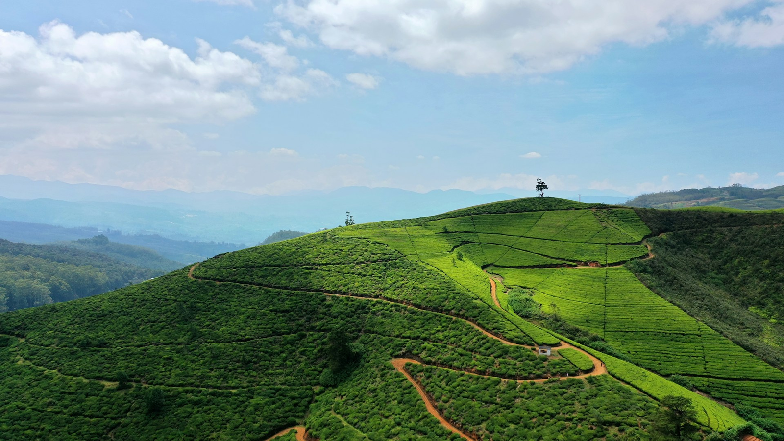 NuwaraEliya