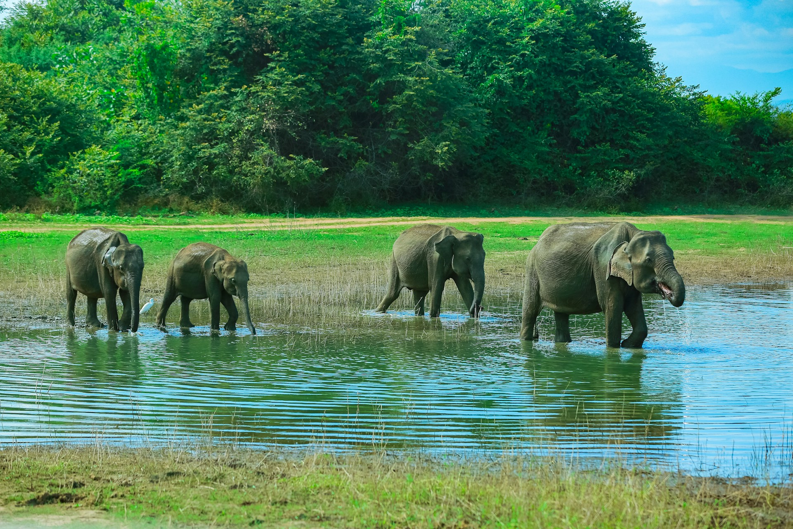 Udawalawe