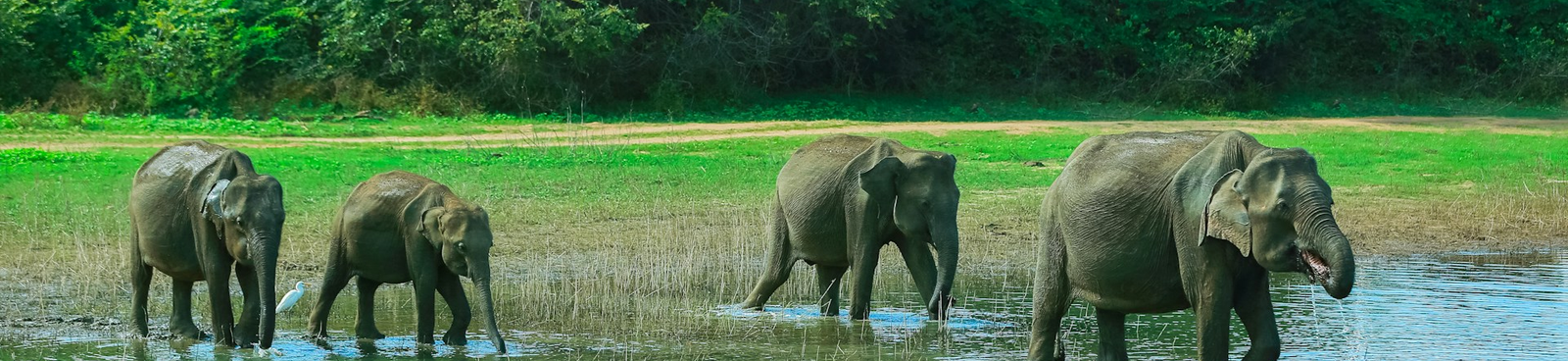 Udawalawe