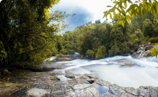 wild-rapids
