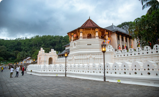 The Ultimate Sri Lanka Thrill Loop